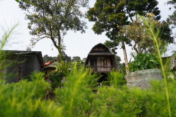Wisata alam dipercaya dapat mengobati mood yang kurang baik