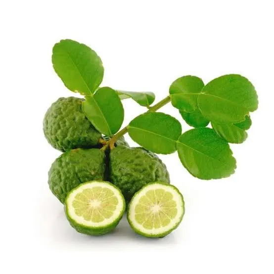 Ilustrasi buah jeruk purut Jeruk purut, (images sumber: Blibli.com)
