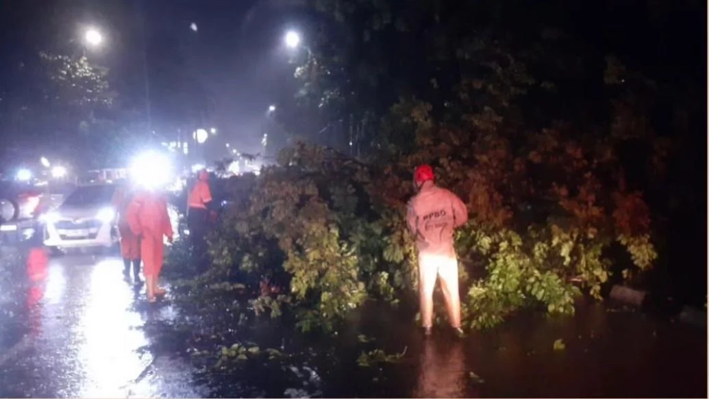 Petugas BPBD Kota Bogor saat memotong pohon tumbang di jalanan.(dok.BPBD Kota Bogor)
