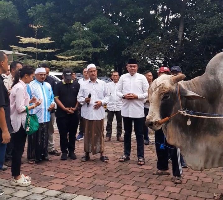 Rayakan Idul Adha, 48 Ekor Sapi Kurban Prabowo Didistribusikan Ketua DPRD Kabupaten Bogor ke Babakan Madang